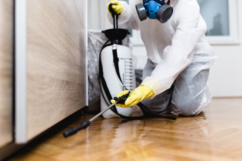 Selecting a Pest Control Company